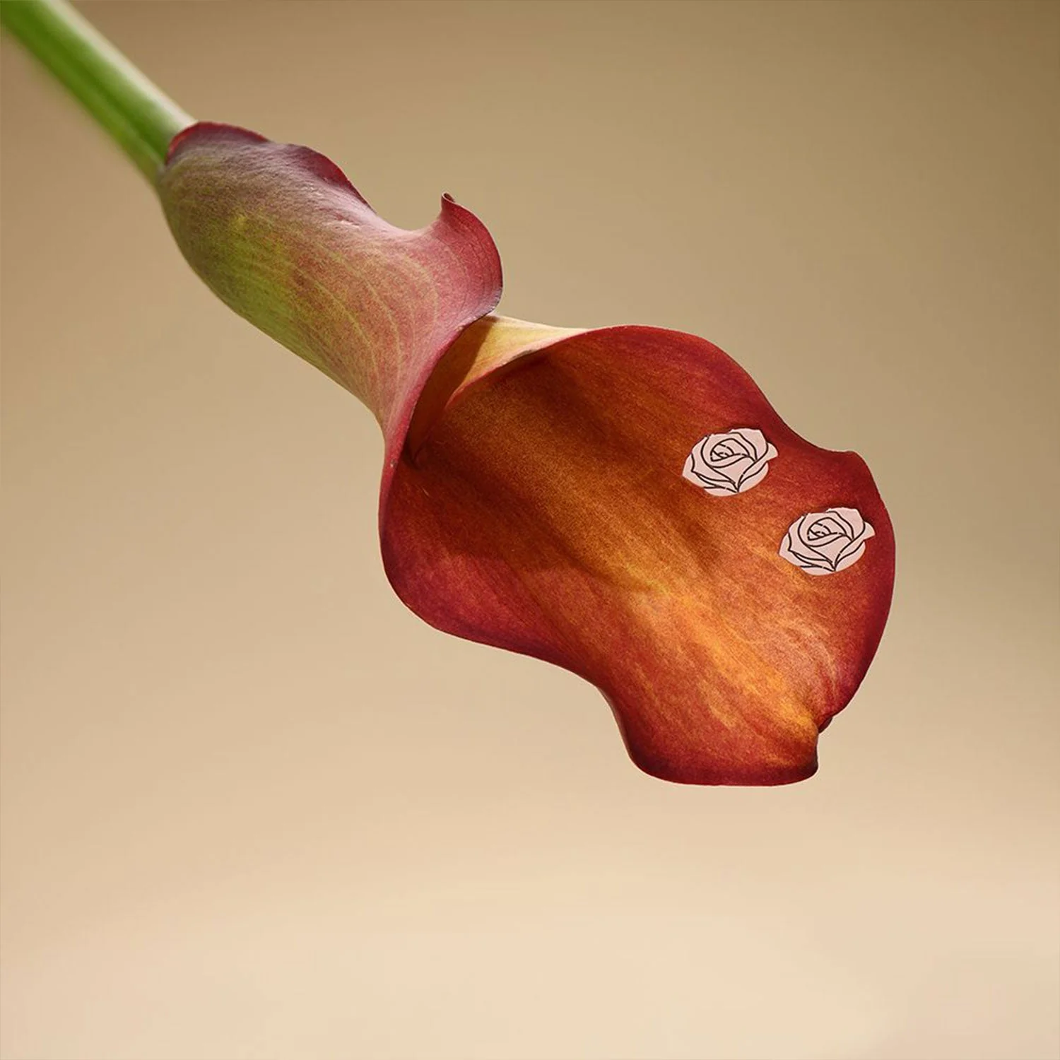 925 Sterling Silver Kids Birthday Flower Earrings - Image 8