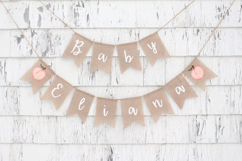 Personalized Baby Name Banner - Image 6