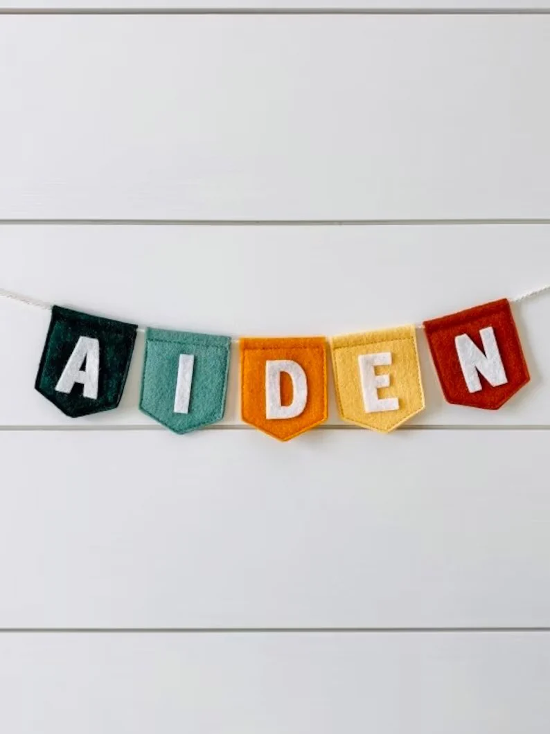 Personalized Baby Name Banner - Image 3